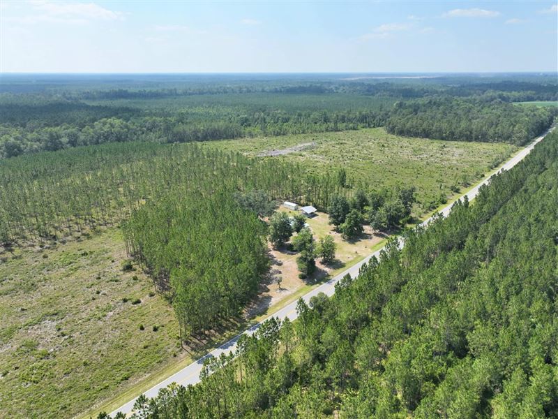 505 Ac River Road Farm for Sale : Folkston : Charlton County : Georgia