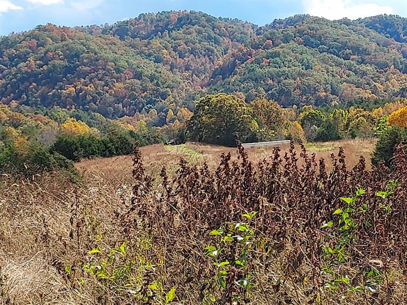 Secluded Big Sky Haven : Sneedville : Hancock County : Tennessee