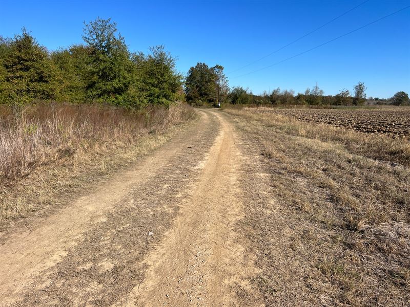 La, Richland 43 Acres : Holly Ridge : Richland Parish : Louisiana