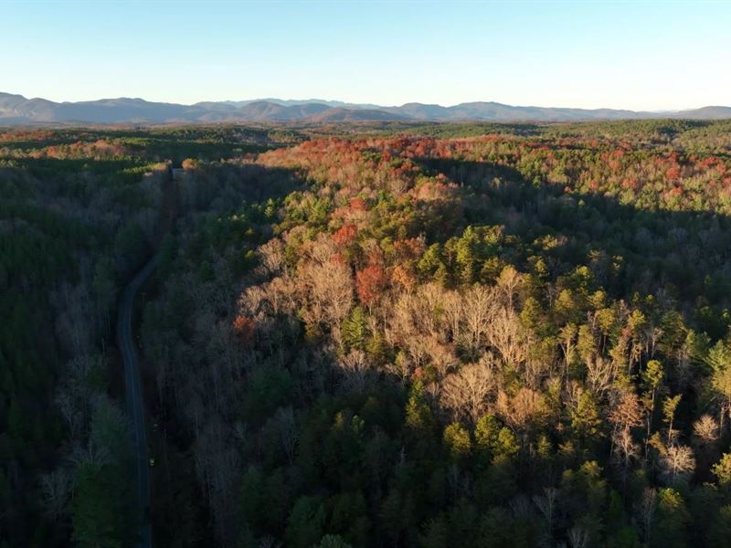 19.95 Acres in Polk County, NC : Mill Spring : Polk County : North Carolina