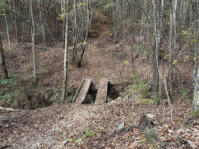 Moccasin Creek Tract : Arlington : Wilcox County : Alabama