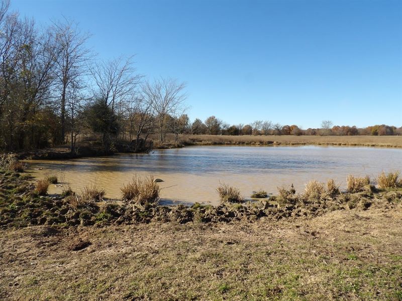 240 Acres Dual Ranch and Recreation : Boswell : Choctaw County : Oklahoma