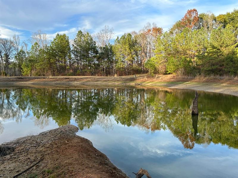 Triple J Farm, 395 Acres in Perry : Marion : Perry County : Alabama