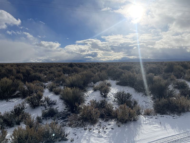 80 Acre Near Wells, Just Off Hwy 93 : Wells : Elko County : Nevada