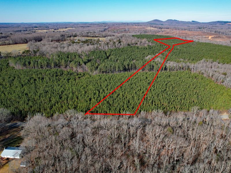 Willis River Tract, Lot 3 : Dillwyn : Buckingham County : Virginia