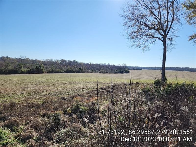 401 Acre Agricultural/Hunting Tract : Rutledge : Crenshaw County : Alabama