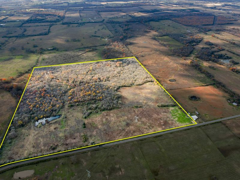 120 Acres of Timber & Pasture : Pattonville : Lamar County : Texas