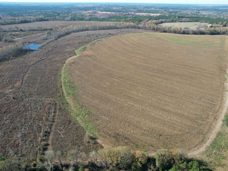 Great Recreational Tract Farm Auction In Georgia 365630 Farmflip 0537