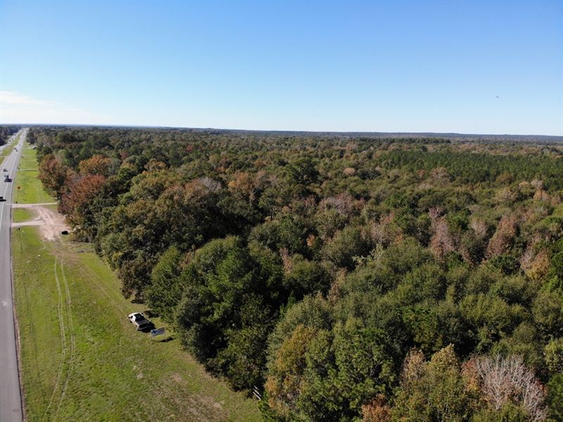 Livingston Hwy 59 31 Ac : Livingston : Polk County : Texas