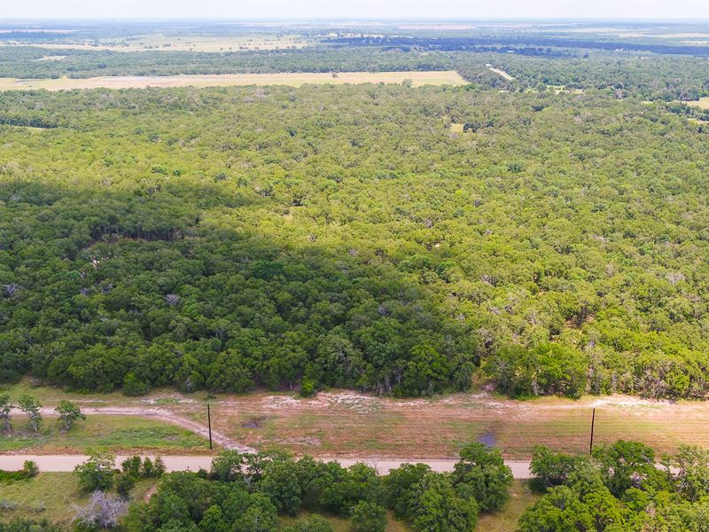 10 Acres in Milam County, Tract 9 : Buckholts : Milam County : Texas