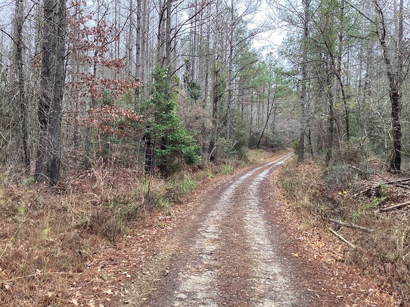 Mount Ida Road Tract : Luverne : Crenshaw County : Alabama