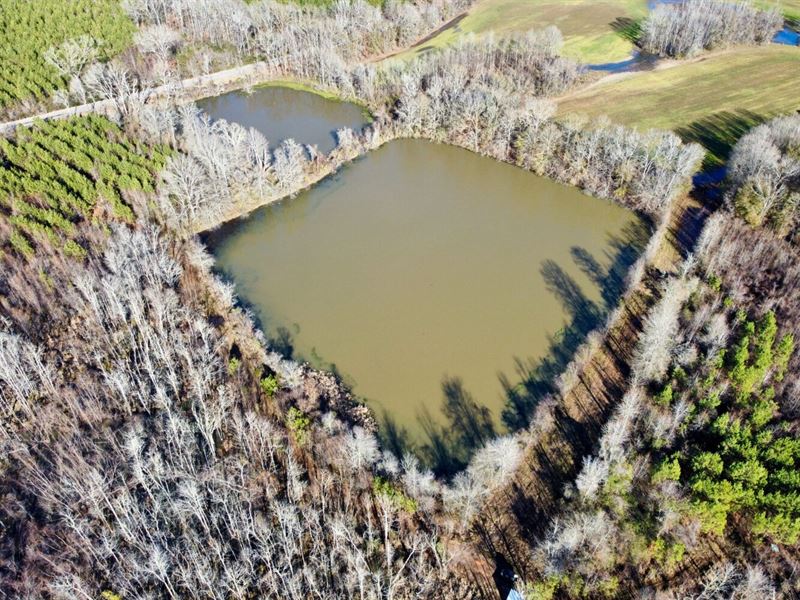 Trophy Hunting Duck Ponds Cahaba : Marion Junction : Perry County : Alabama