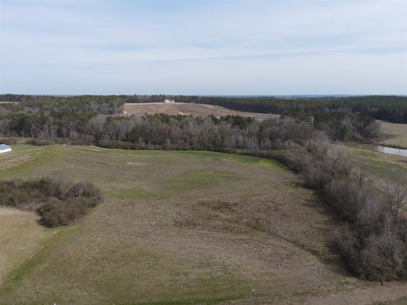 20 Acres in Rankin County Near Puck : Brandon : Rankin County : Mississippi