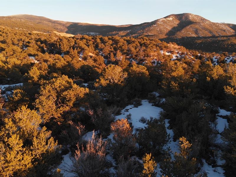 Dreams Unleashed, 5.28 Ac, $303/Mo : Fort Garland : Costilla County : Colorado