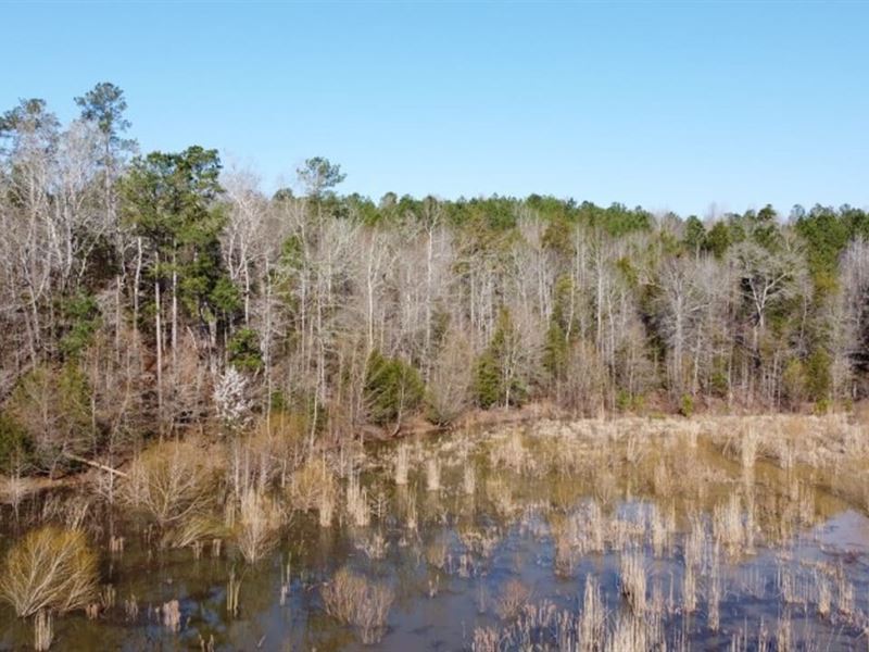 Land on Large Watershed : Winnsboro : Fairfield County : South Carolina