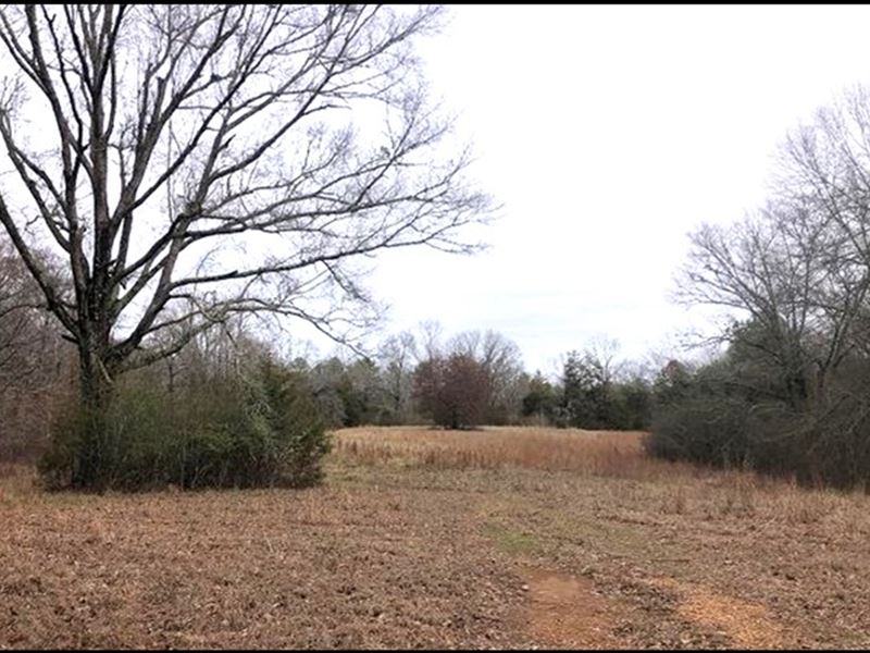 50 Acres in Holmes County in Goodma : Goodman : Holmes County : Mississippi