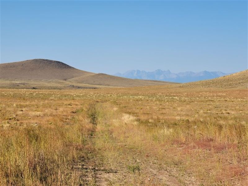 $166/Mo Homestead Land : Blanca : Costilla County : Colorado