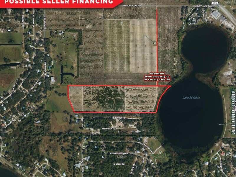 Grove / Future Lake Front Dev : Avon Park : Highlands County : Florida