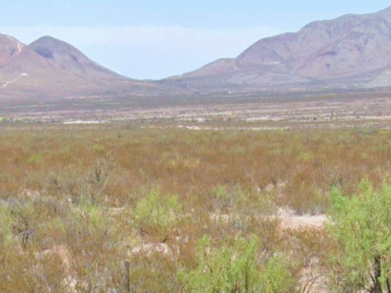 Hunting Land in Texas, Over 20 ac : Sierra Blanca : Hudspeth County : Texas