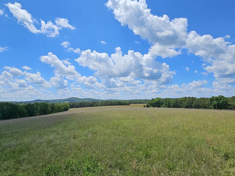 Southern Missouri Farm & Home : Vanzant : Douglas County : Missouri