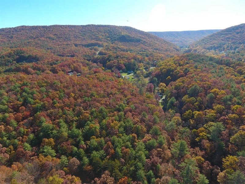 Wooded Mountain Land : Hot Springs : Bath County : Virginia