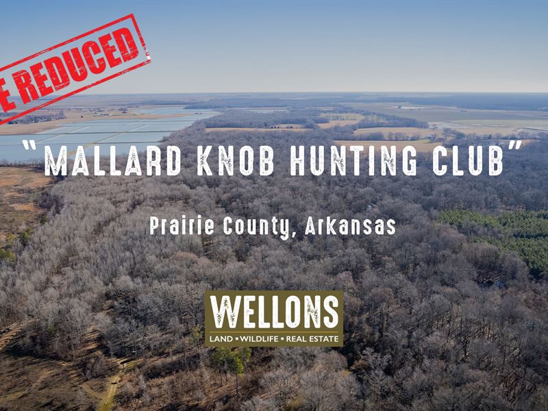 Mallard Knob Hunting Club : Des Arc : Prairie County : Arkansas