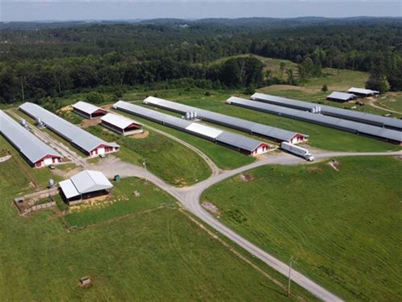 Six House Breeder Poultry Farm : Old Fort : Bradley County : Tennessee