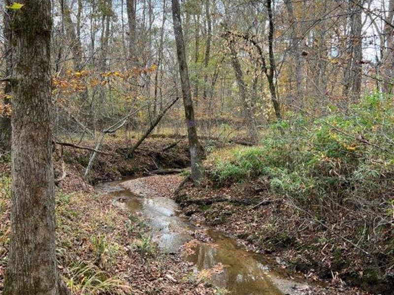 Old Farm Tract : Sparta : Hancock County : Georgia