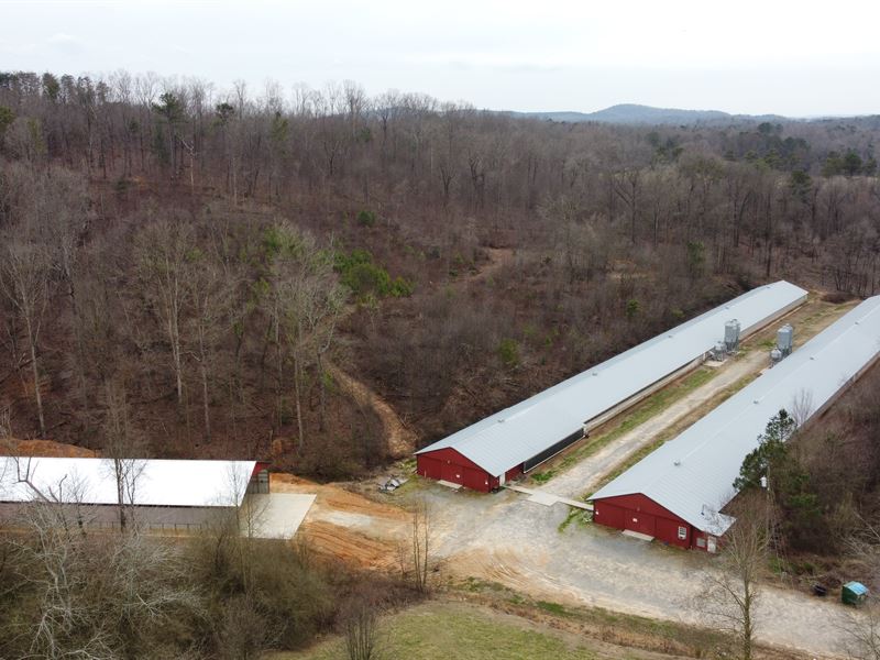 Two House Breeder Poultry Farm : Talking Rock : Gilmer County : Georgia