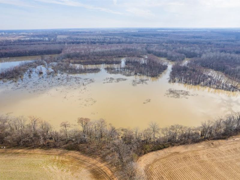 White River 150 : Newport : Jackson County : Arkansas