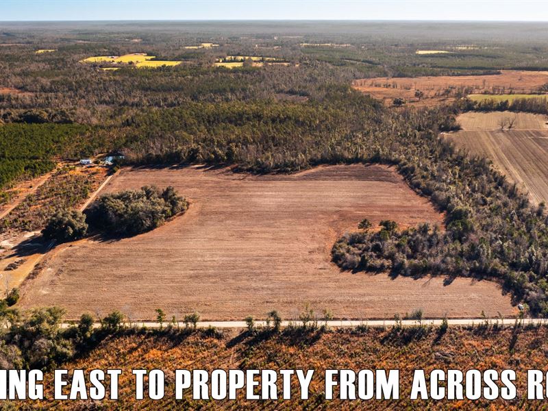 Agricultural Acreage for Homestead : Grand Ridge : Jackson County : Florida