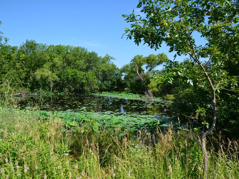 Switzler Creek 480 Ranch : Burlingame : Osage County : Kansas