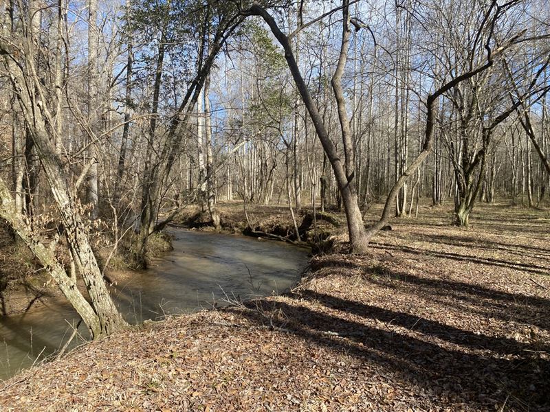 Drake Creek Retreat : Ashland : Clay County : Alabama