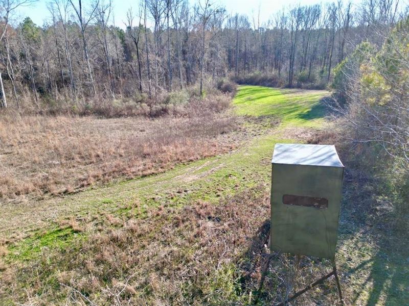 Hunting Land with Pasture in Jeffer : Fayette : Jefferson County : Mississippi