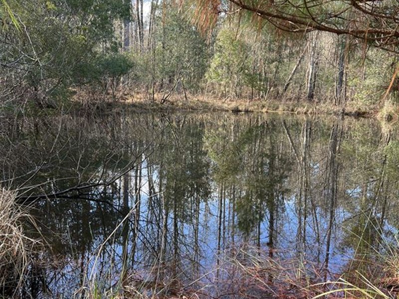 Ranger Road : Warrenton : Warren County : Georgia