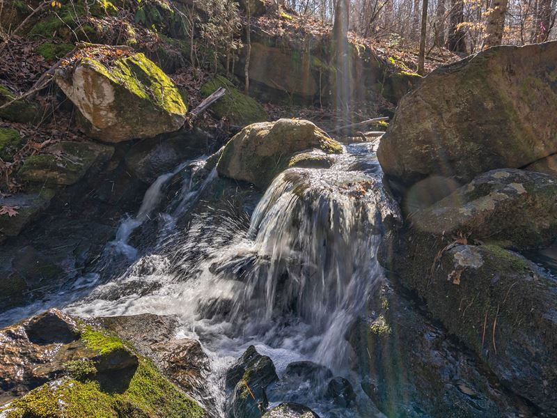 Millstone Creek : Carlton : Oglethorpe County : Georgia