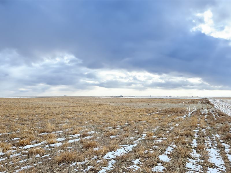 Svoboda Dryland Quarter : Gurley : Cheyenne County : Nebraska