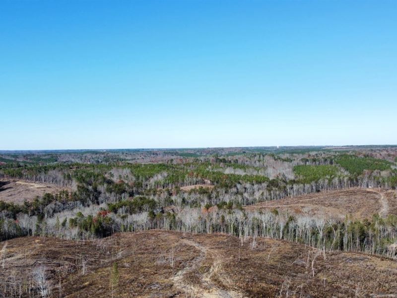 193 Ac. Timber and Recreational Pro : Haleyville : Winston County : Alabama