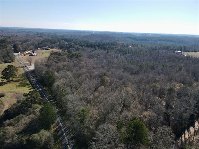 32 Acres Randolph County : Roanoke : Randolph County : Alabama