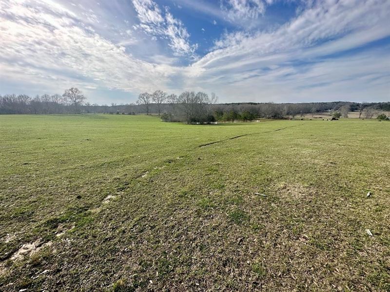 Pastureland for Sale in Kentwood : Kentwood : Tangipahoa Parish : Louisiana