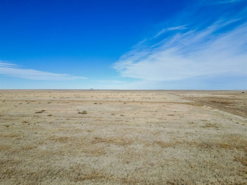 Boyle Crp for Sale : Two Buttes : Baca County : Colorado