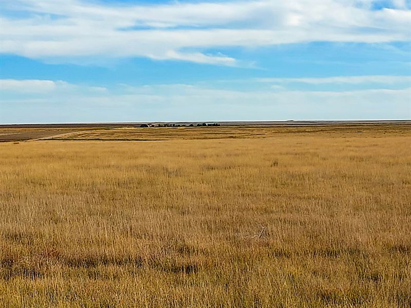 Crum Farm for Sale : Towner : Kiowa County : Colorado