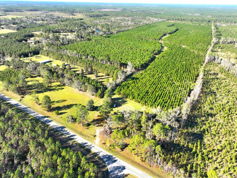 112 Acres on Telemore Dixie Union : Waycross : Ware County : Georgia