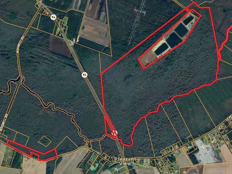 275 Acre Timberland for Sale : Columbia : Tyrrell County : North Carolina