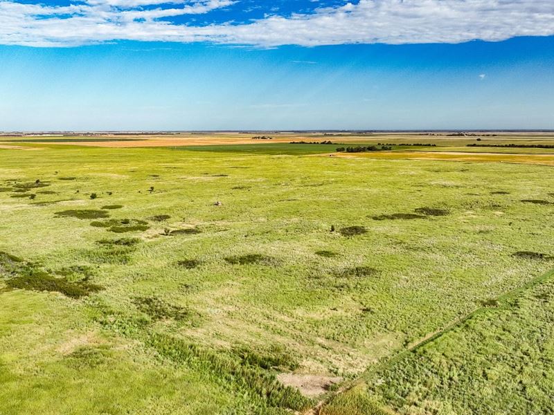 Pawnee County East Road Quarter : Larned : Pawnee County : Kansas