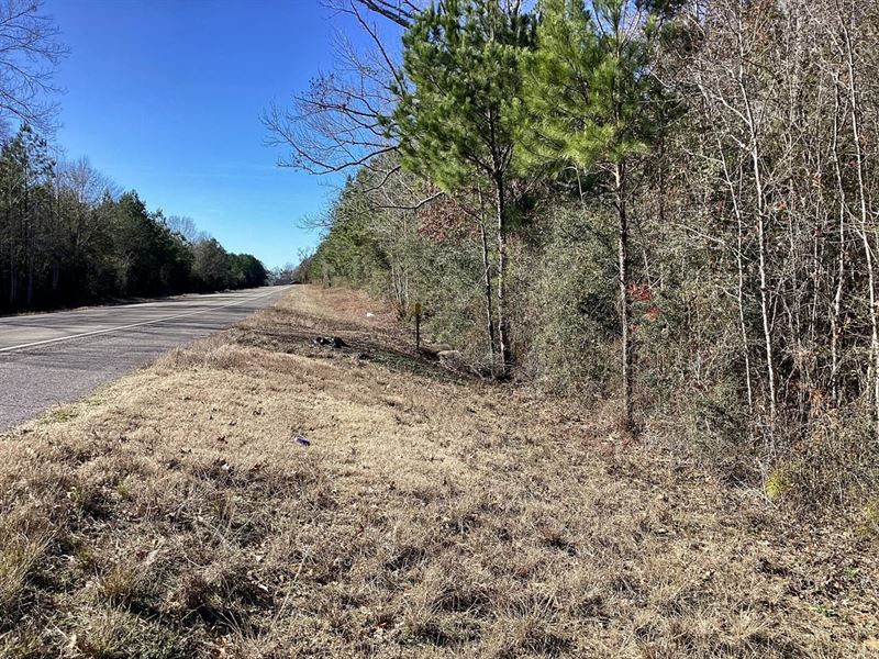 Cotton Trail Tract 3, Allen Parish : Elizabeth : Allen Parish : Louisiana