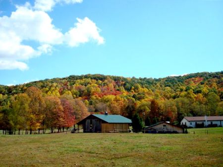 Red Horse Flats, Farm For Sale In West Virginia, #36934 : Farmflip