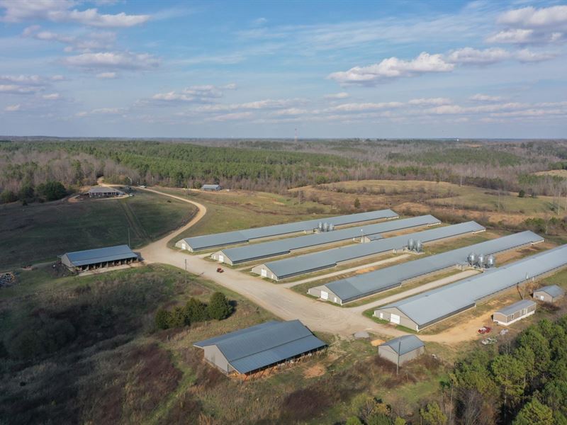 Asher Lane Broiler Farm : Hodges : Marion County : Alabama