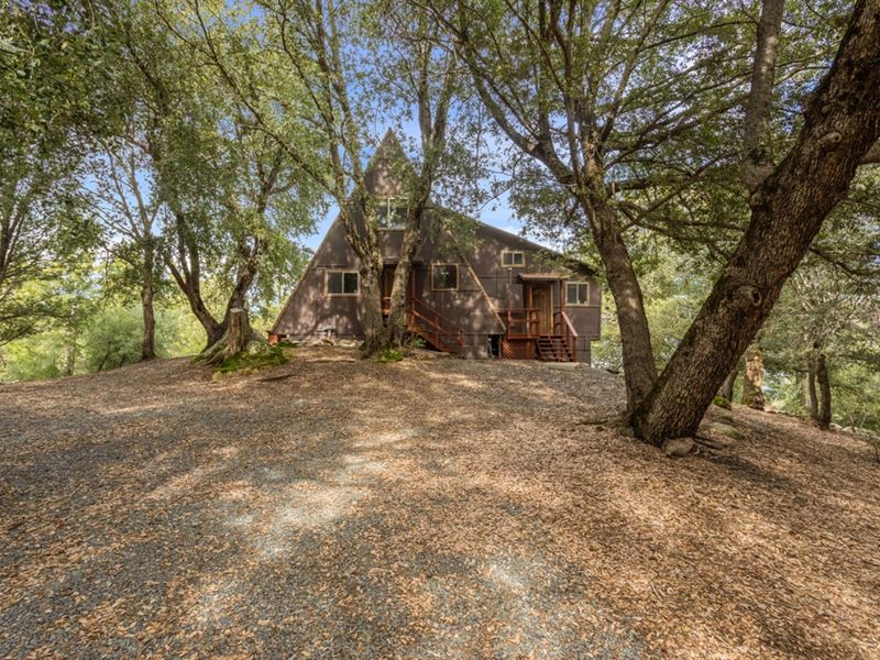 Palomar Mountain Rustic Retreat : Palomar Mountain : San Diego County : California