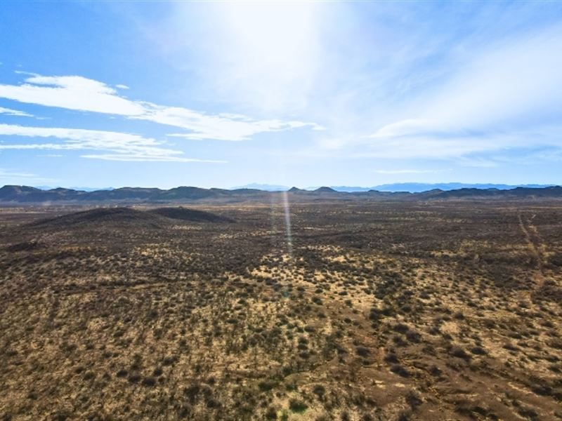 Get a Deal, Auction to Aug 14 : Douglas : Cochise County : Arizona